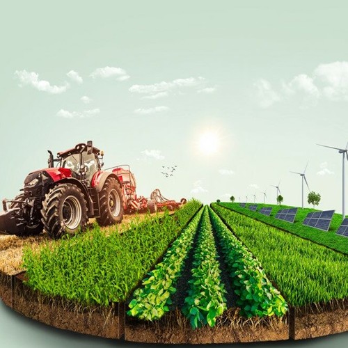 Agriculture Food Products Manufacturers, Suppliers & Exporters